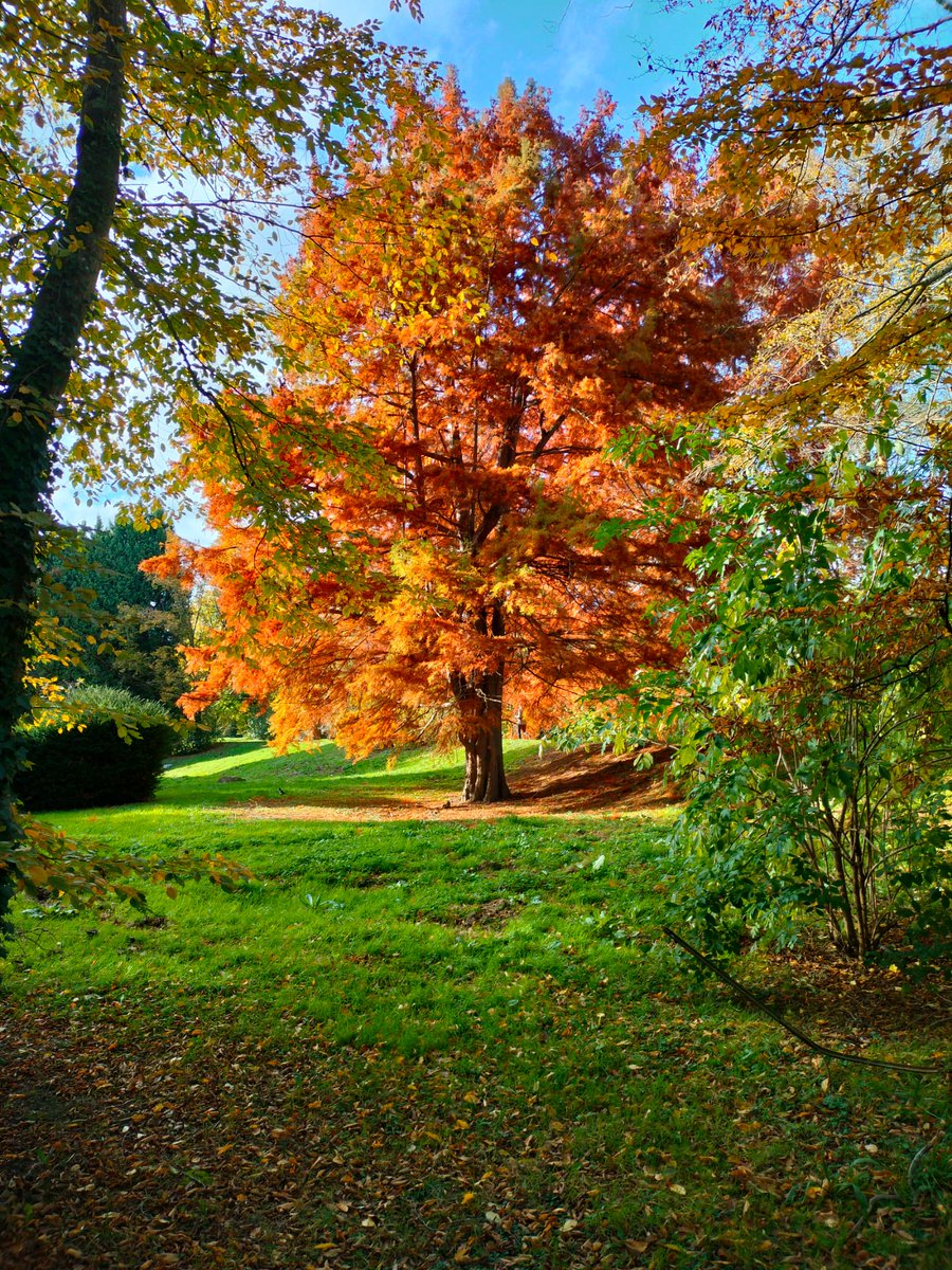 Gopi Joshi tweet media