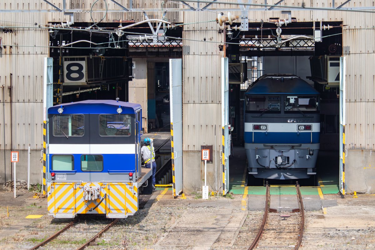 LimitedExpressB's tweet photo. #3月を写真4枚で振り返る
三岐詣から始まり月後半はずっと広島へ
色んなスタイルの桃が居ました🤔 https://t.co/sEE48Mrp6n