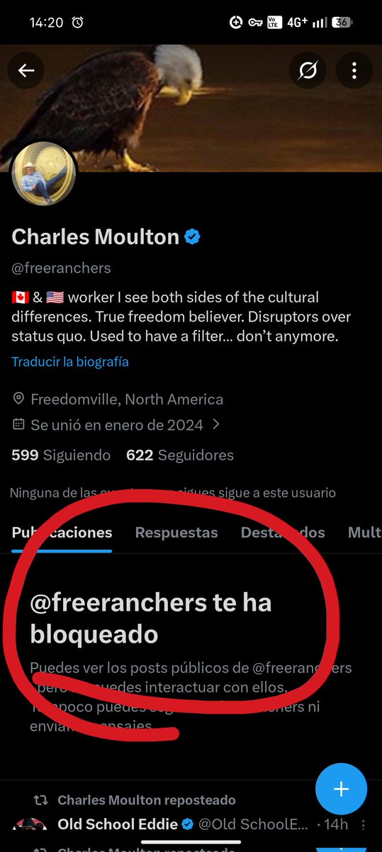 Zack Mae Bohls tweet media