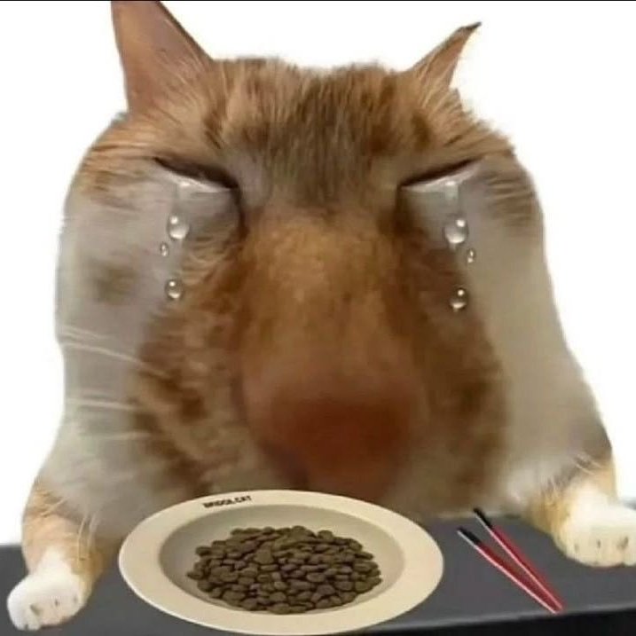 𝓛𝓲𝓵𝓲 ²⁶ tweet media