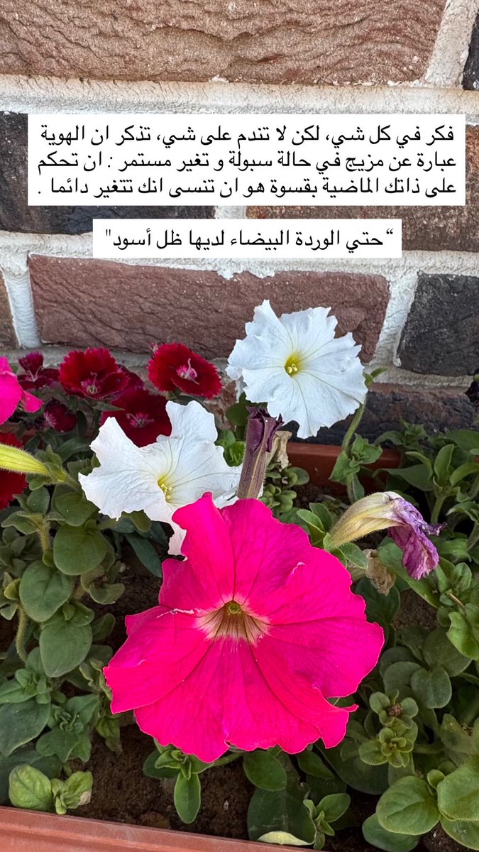 ‏​​​​​‏ ◔̯.◔ tweet media