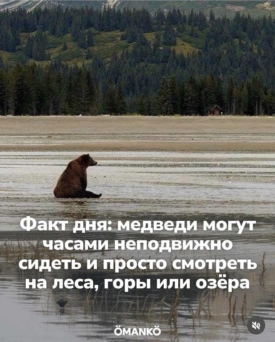 LumiPoupee ❄️ tweet media