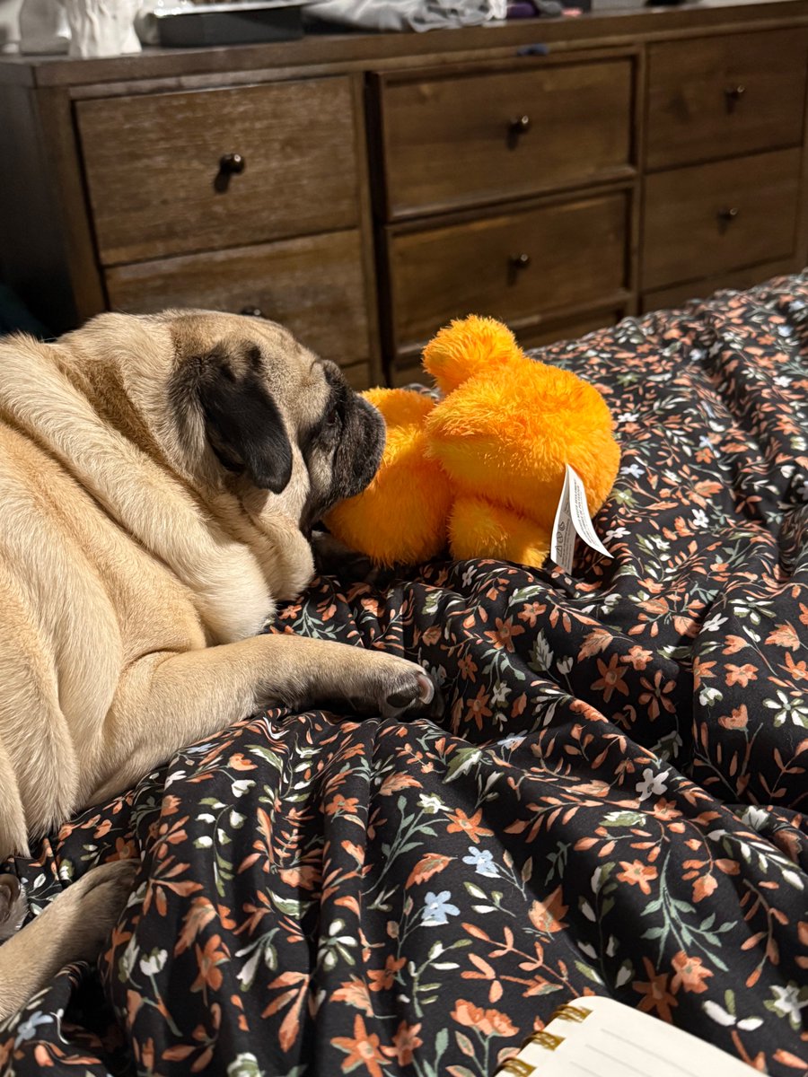 DrKnowItAll tweet media