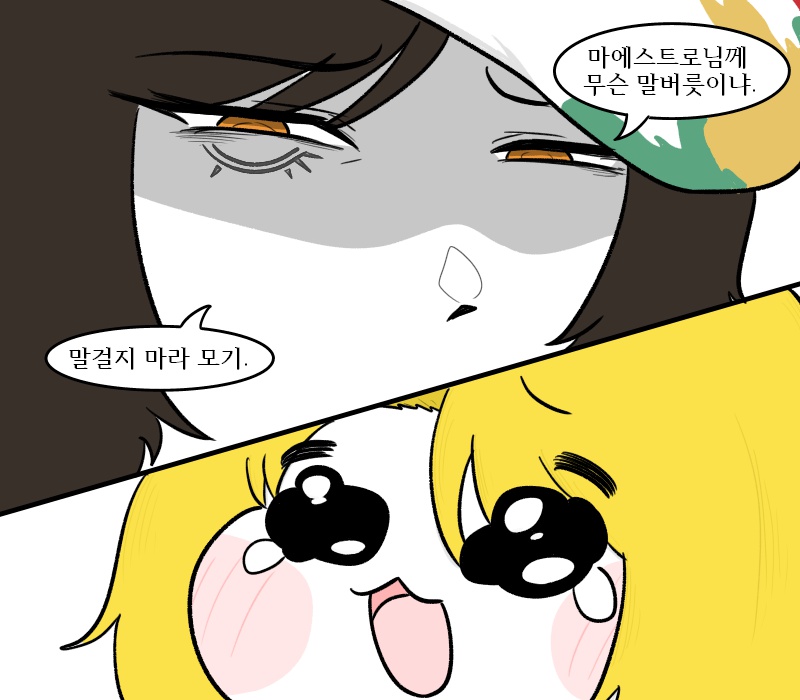 쿠카 Quka tweet media