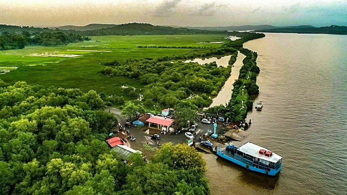 India Aesthetica tweet media