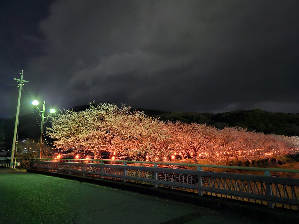 る～ちゃん tweet media