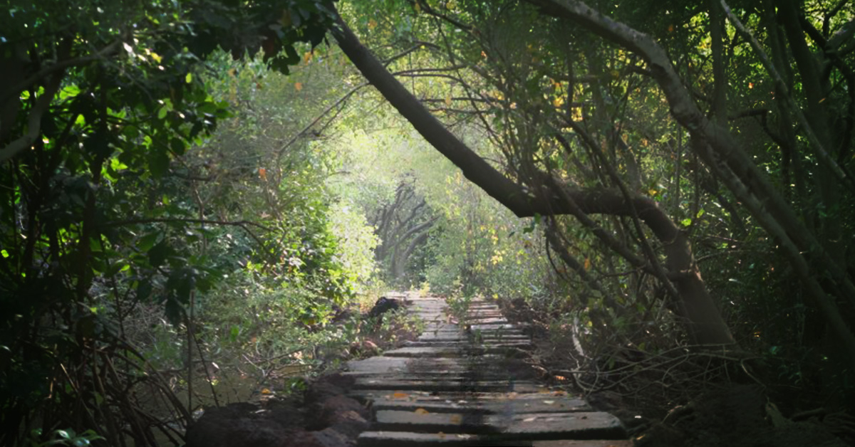 India Aesthetica tweet media