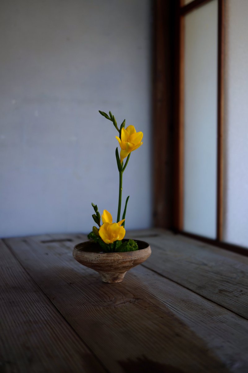 trois 花の会　5/16 6/13@静岡アトリエ tweet media