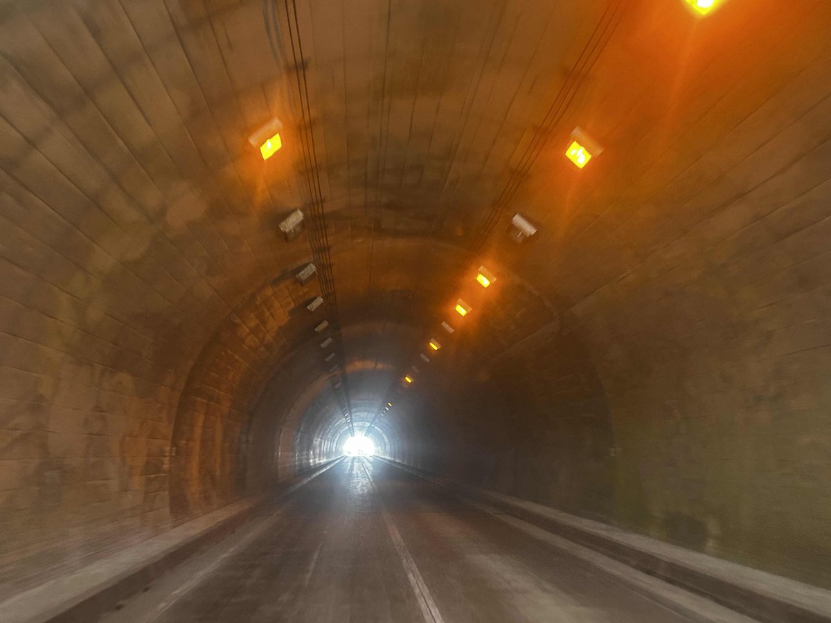 ８２EXPRESS （いそがっし） tweet media