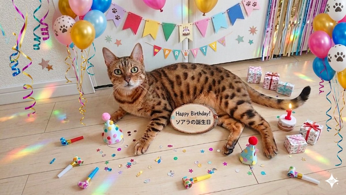 ゅんゅん tweet media