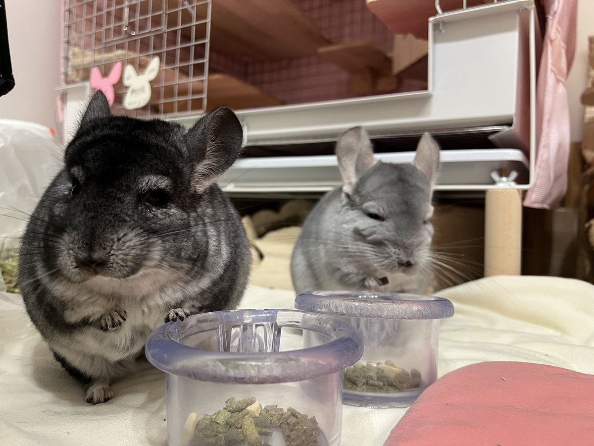 Micu201637🦭 tweet media