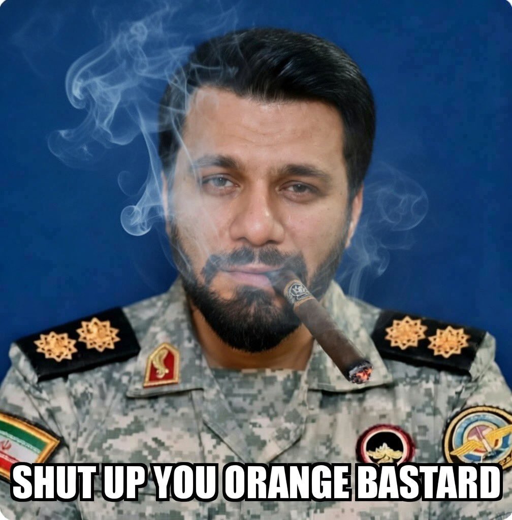 Habibi tweet media