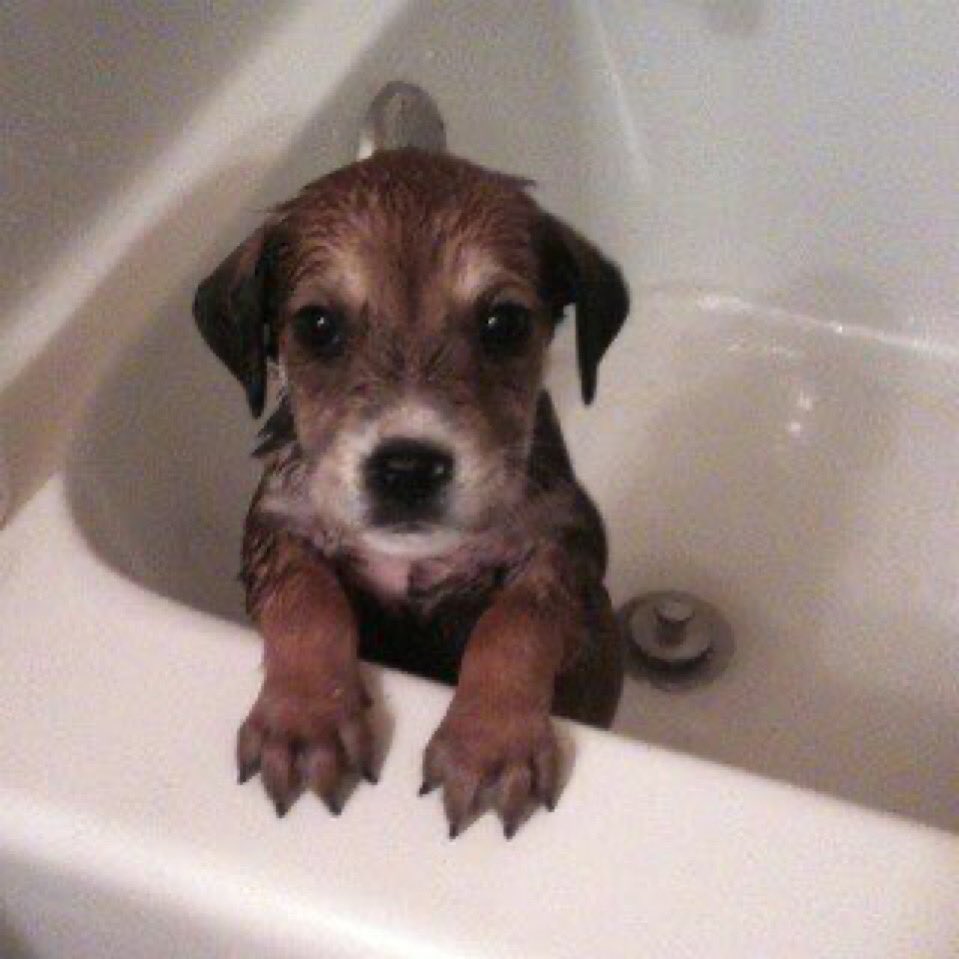 k3ra🔜SAMAKI10thANNI.4/15 tweet media