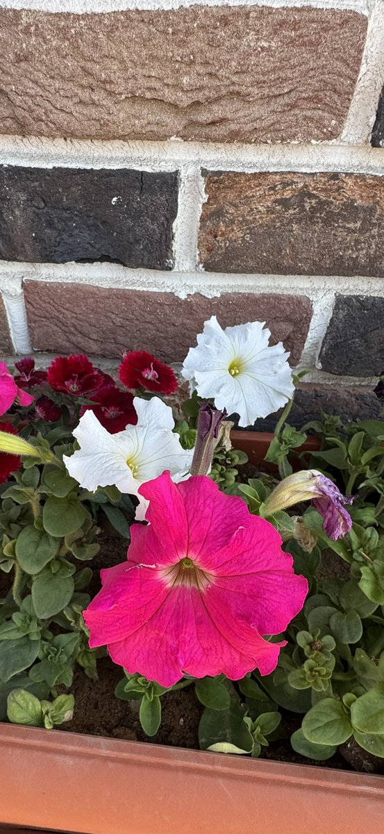 ‏​​​​​‏ ◔̯.◔ tweet media