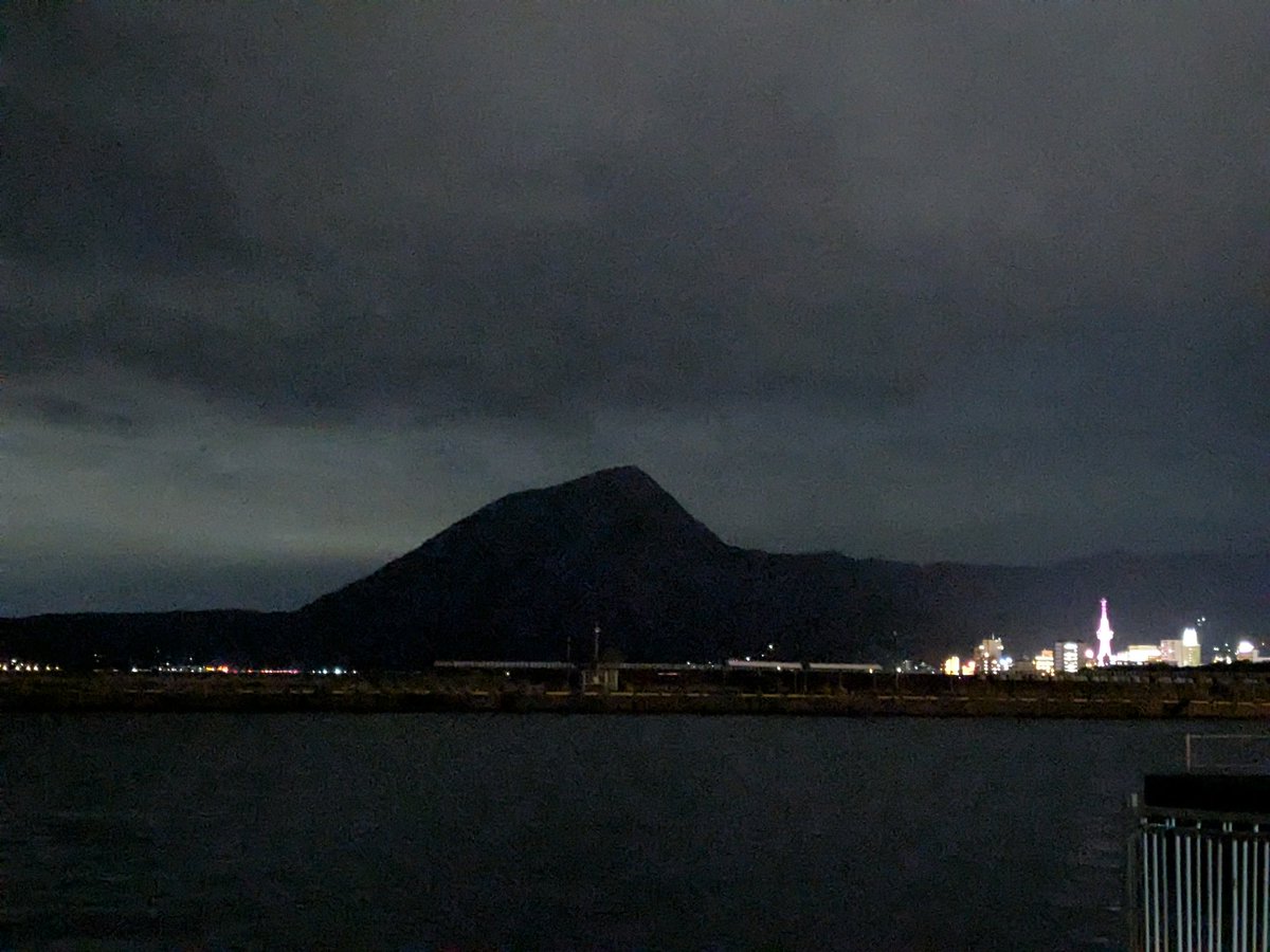 フォレスト🐦 tweet media