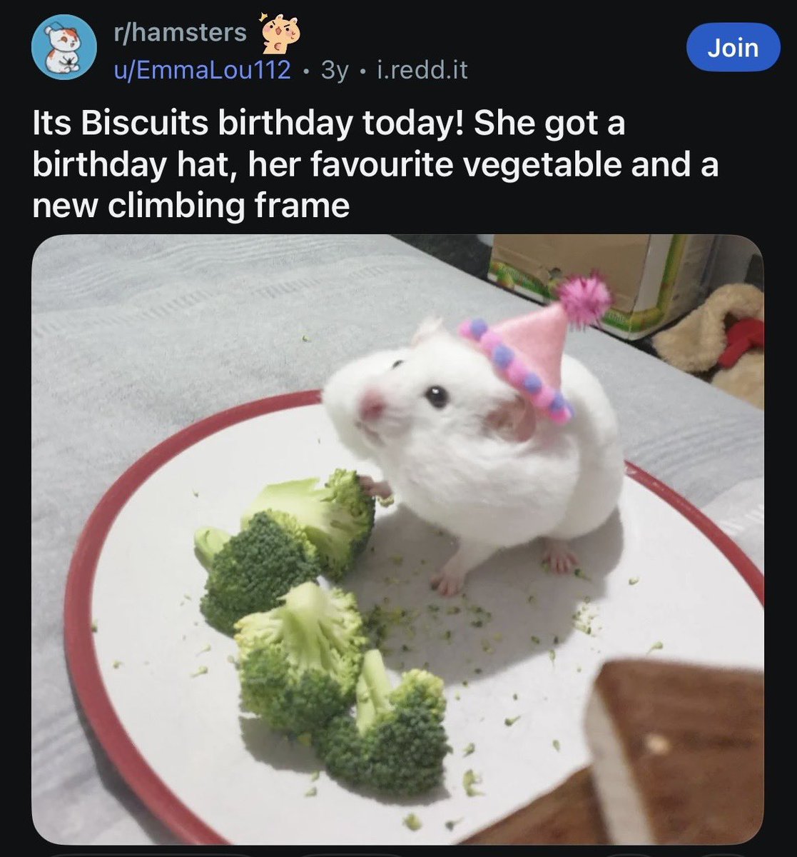 Doomy Gloom tweet media