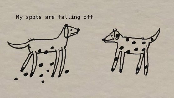 PmAmTraveller tweet media