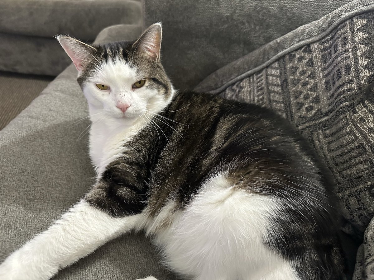 DreBragg tweet media