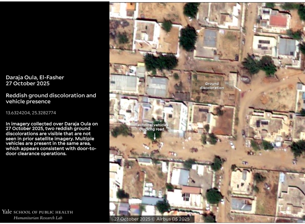 Thutmose III tweet media