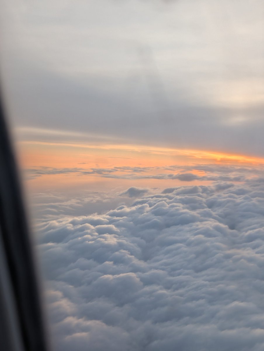 🔮Merlin the Ballin🔮 tweet media