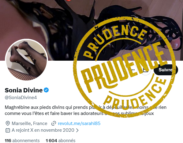 Doms de France (0,99k) tweet media