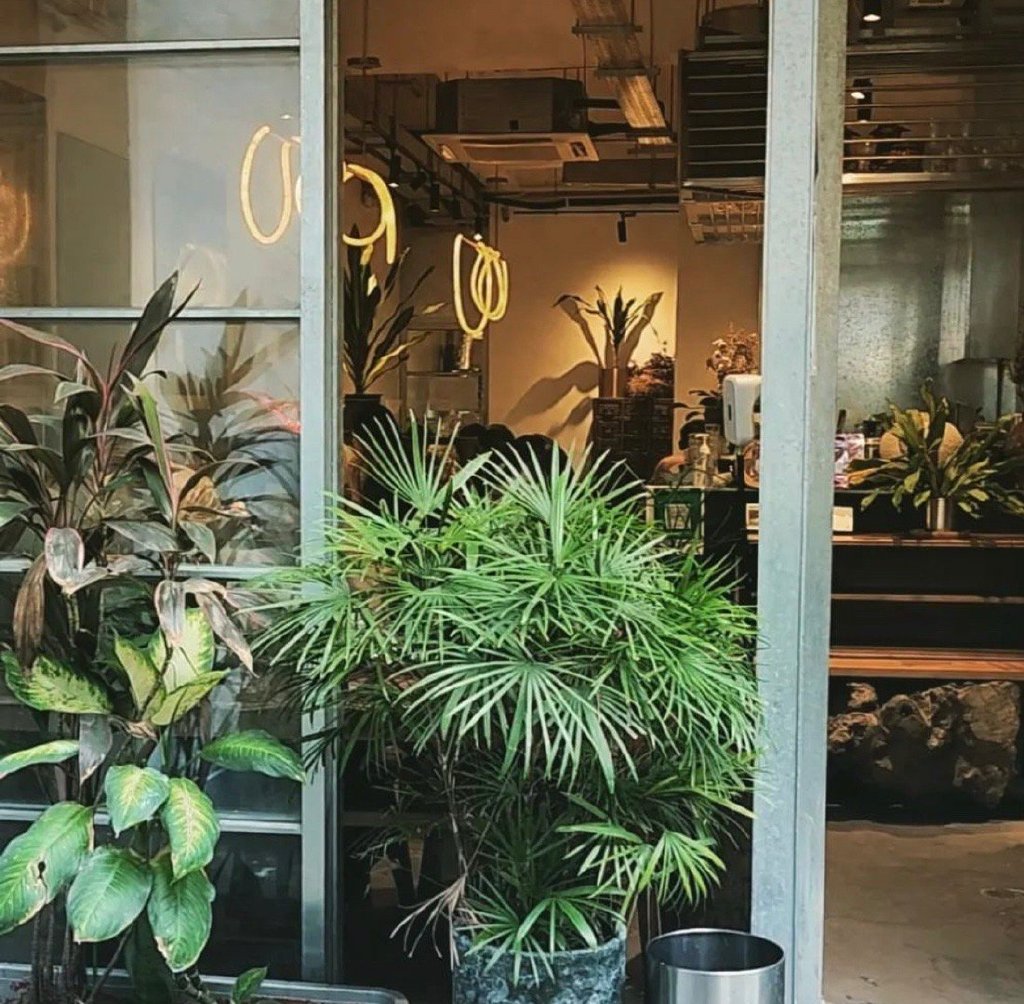 samalla swetha tweet media