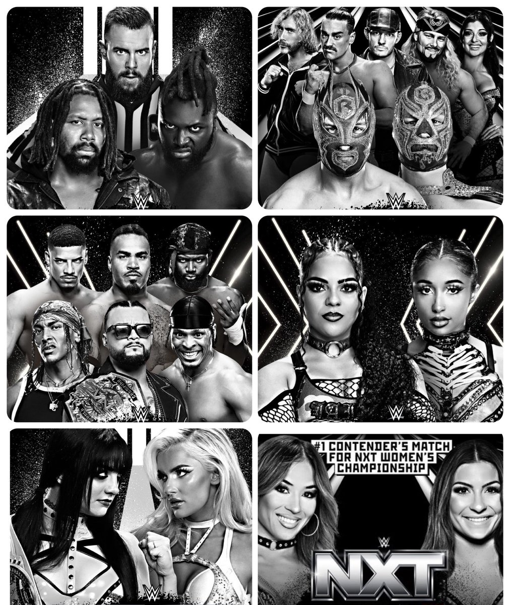 Robert Stone tweet media