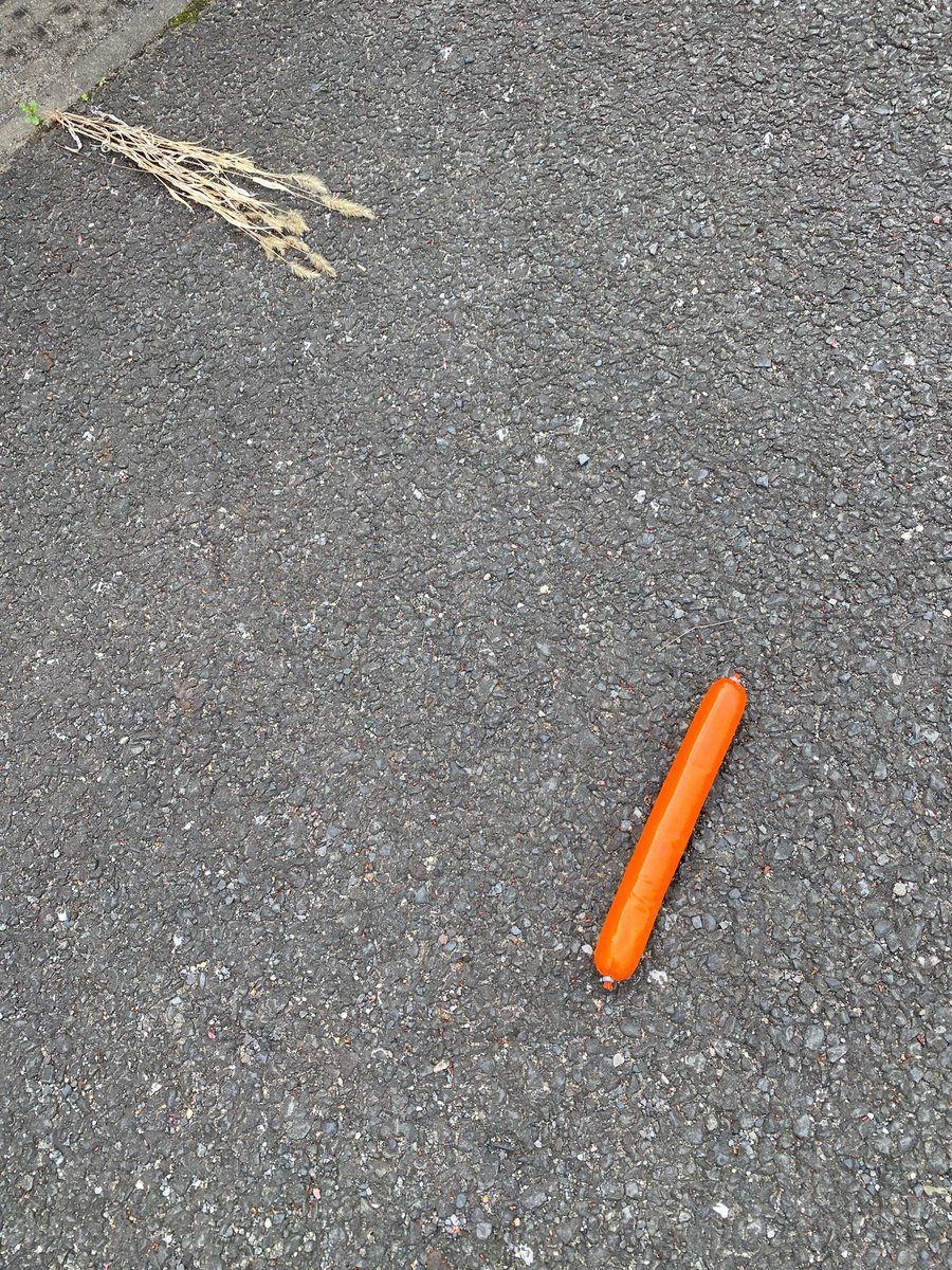 どなたですか、魚肉ソーセージ落としたの。。。