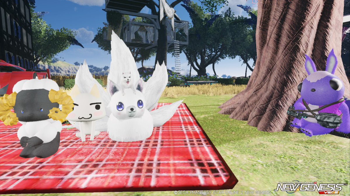 狐のコロナ tweet media