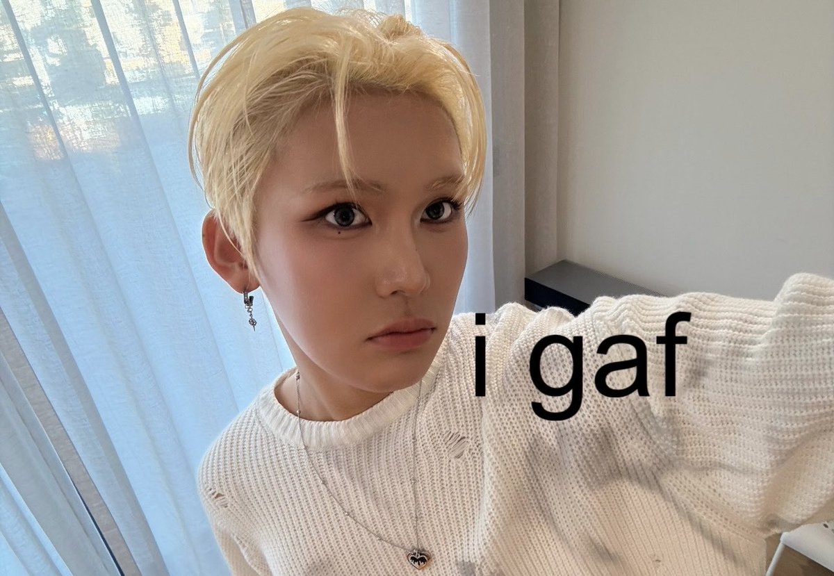 mimi puppy 🐾 tweet media