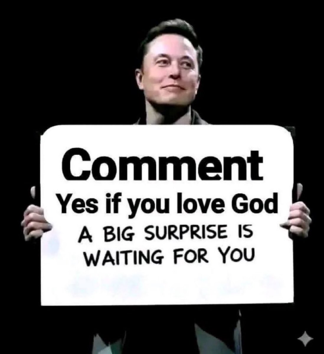 (FAN) ELON MUSK tweet media