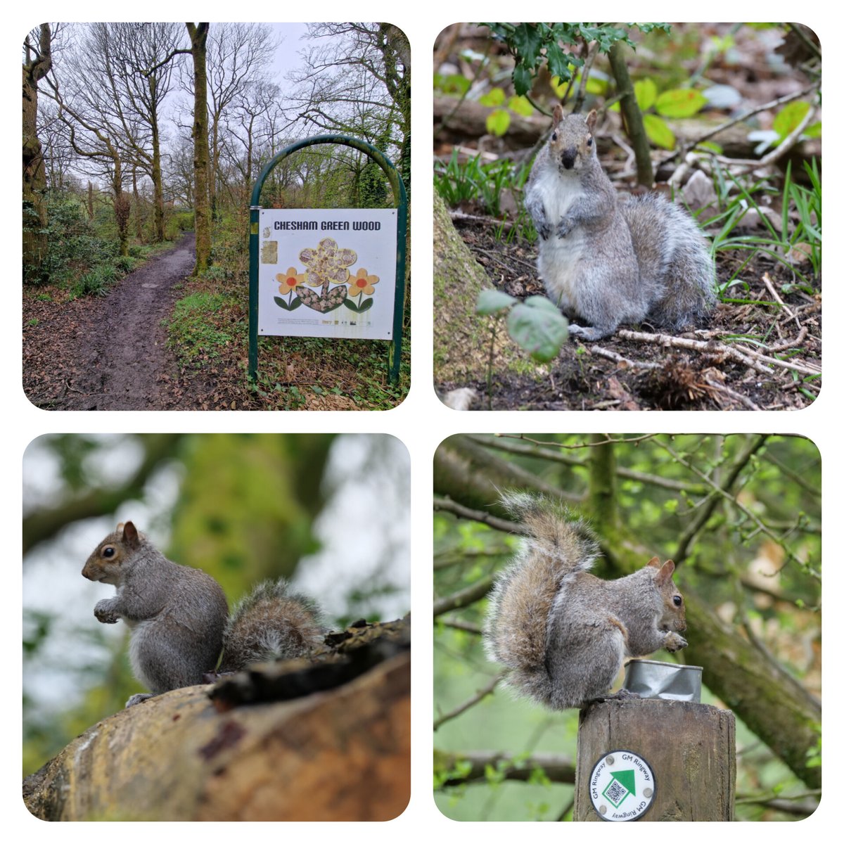 Glenn Hutton tweet media