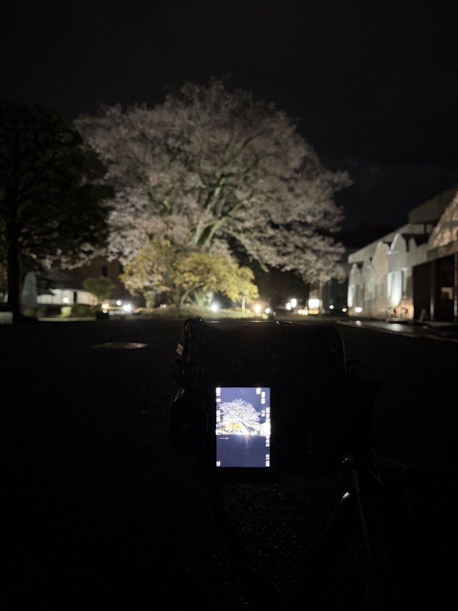 キタゾー tweet media