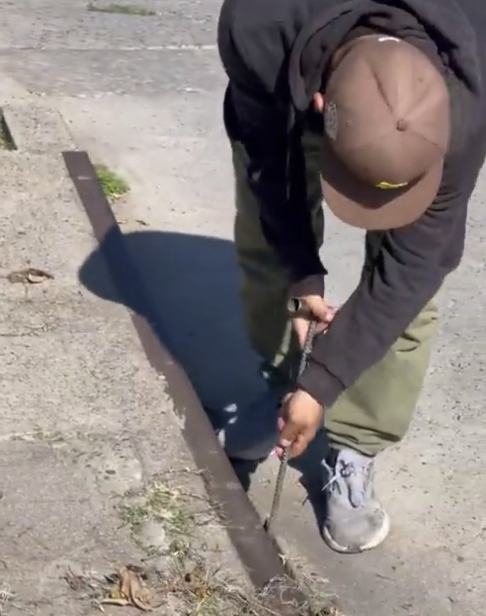 Fernando CASTAgnoni tweet media