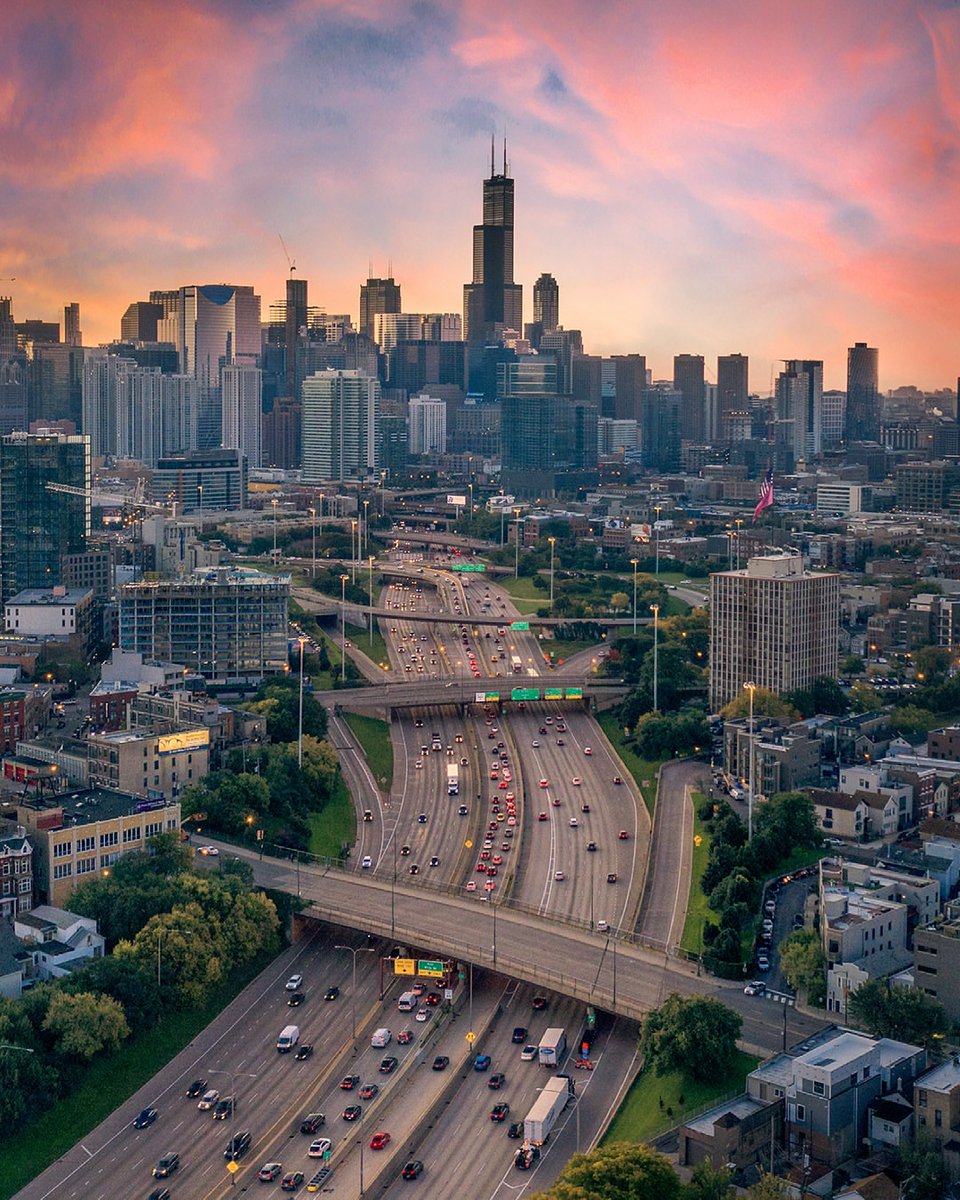 Wildscape Wonders tweet media