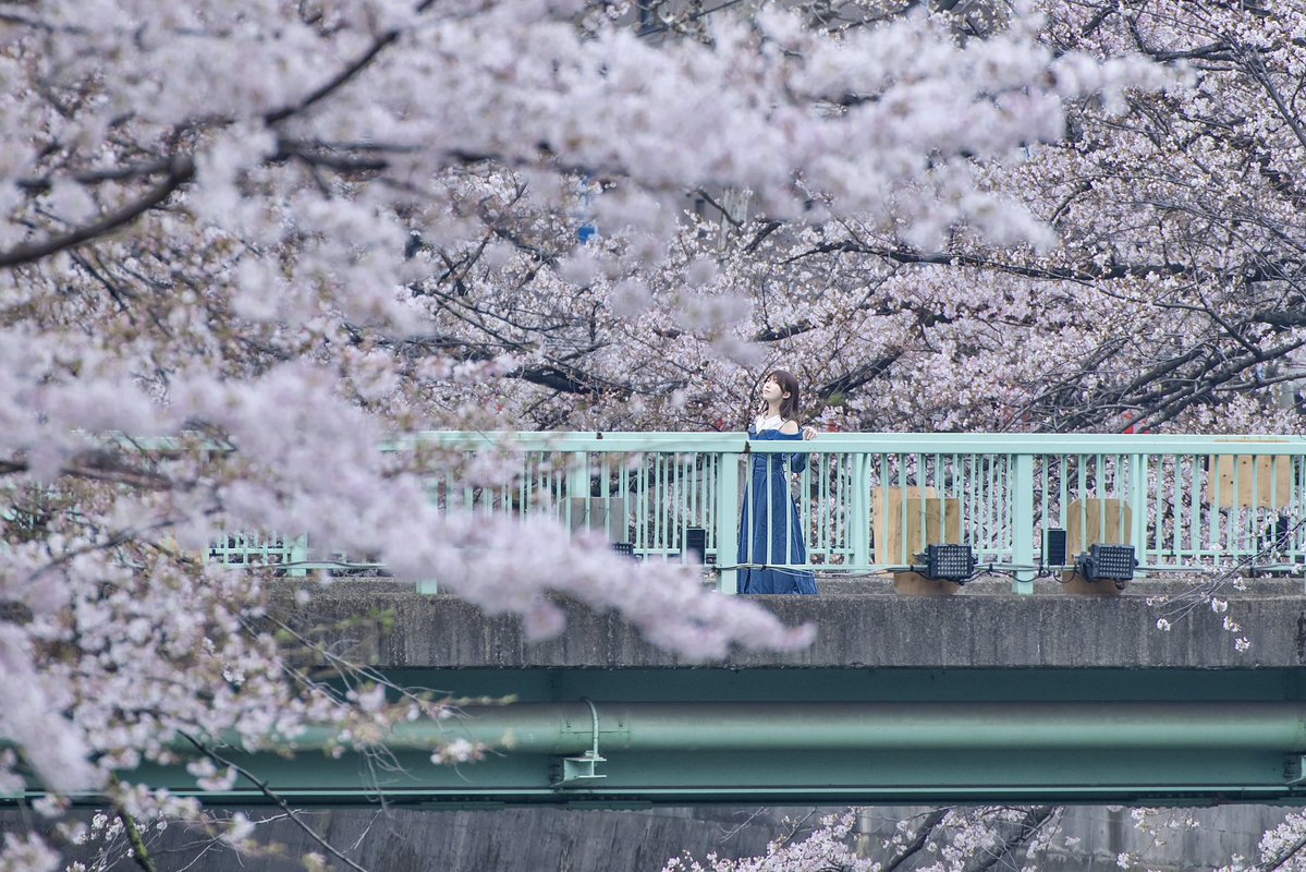 ふう@撮影依頼受付中 tweet media