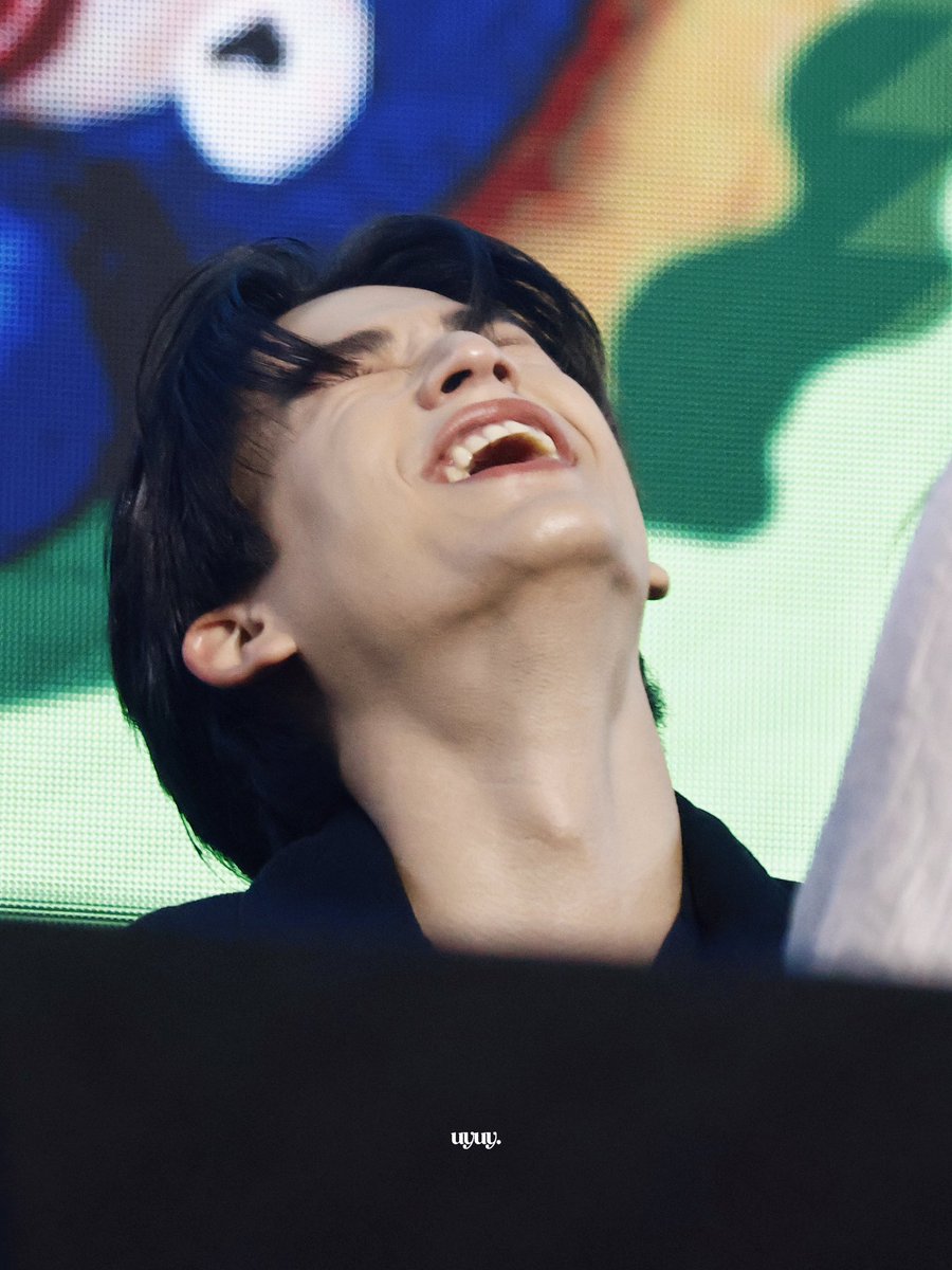 youwhy 😼 tweet media