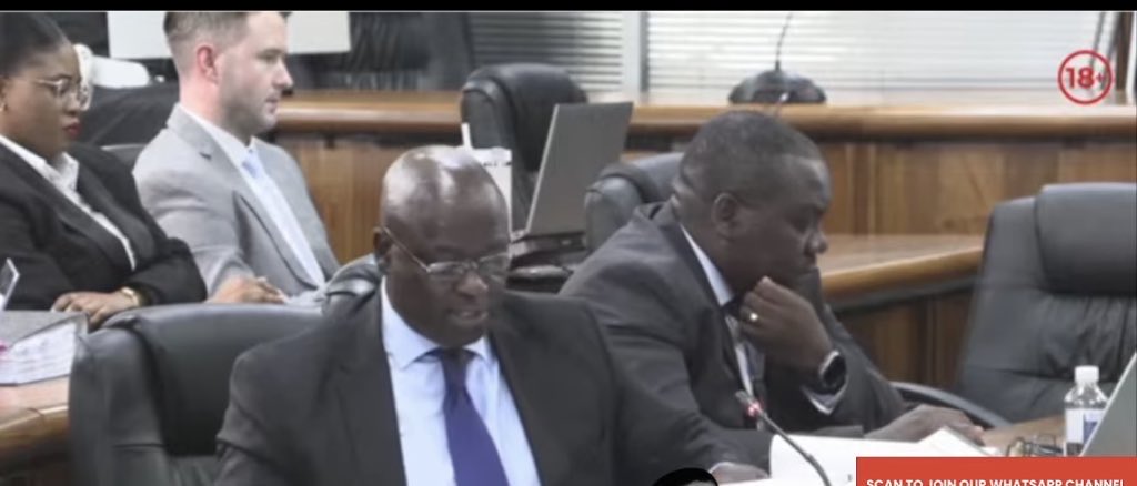 South Voices tweet media