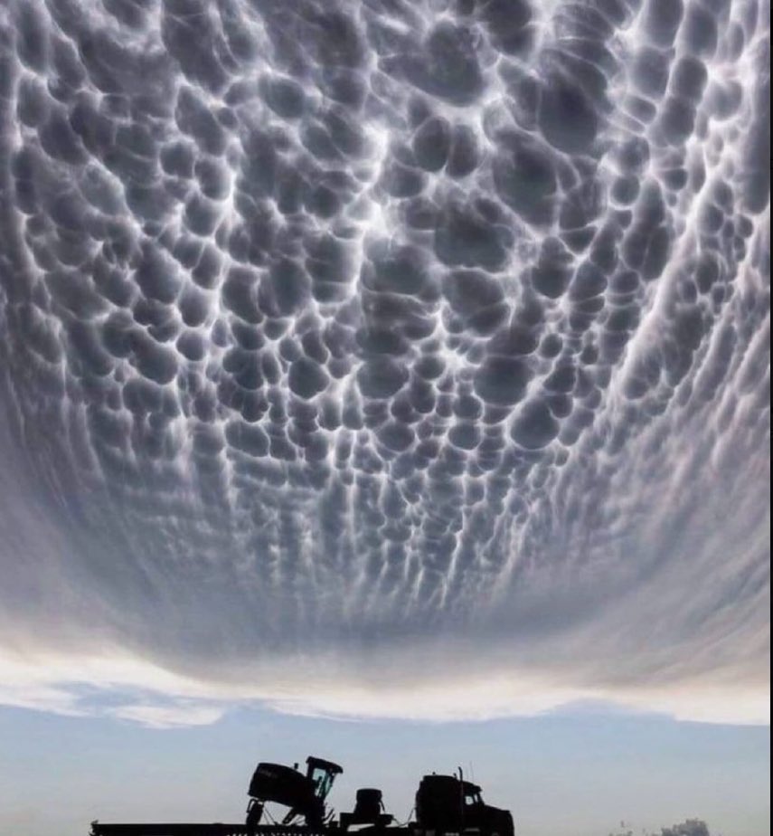 Concerned Citizen tweet media