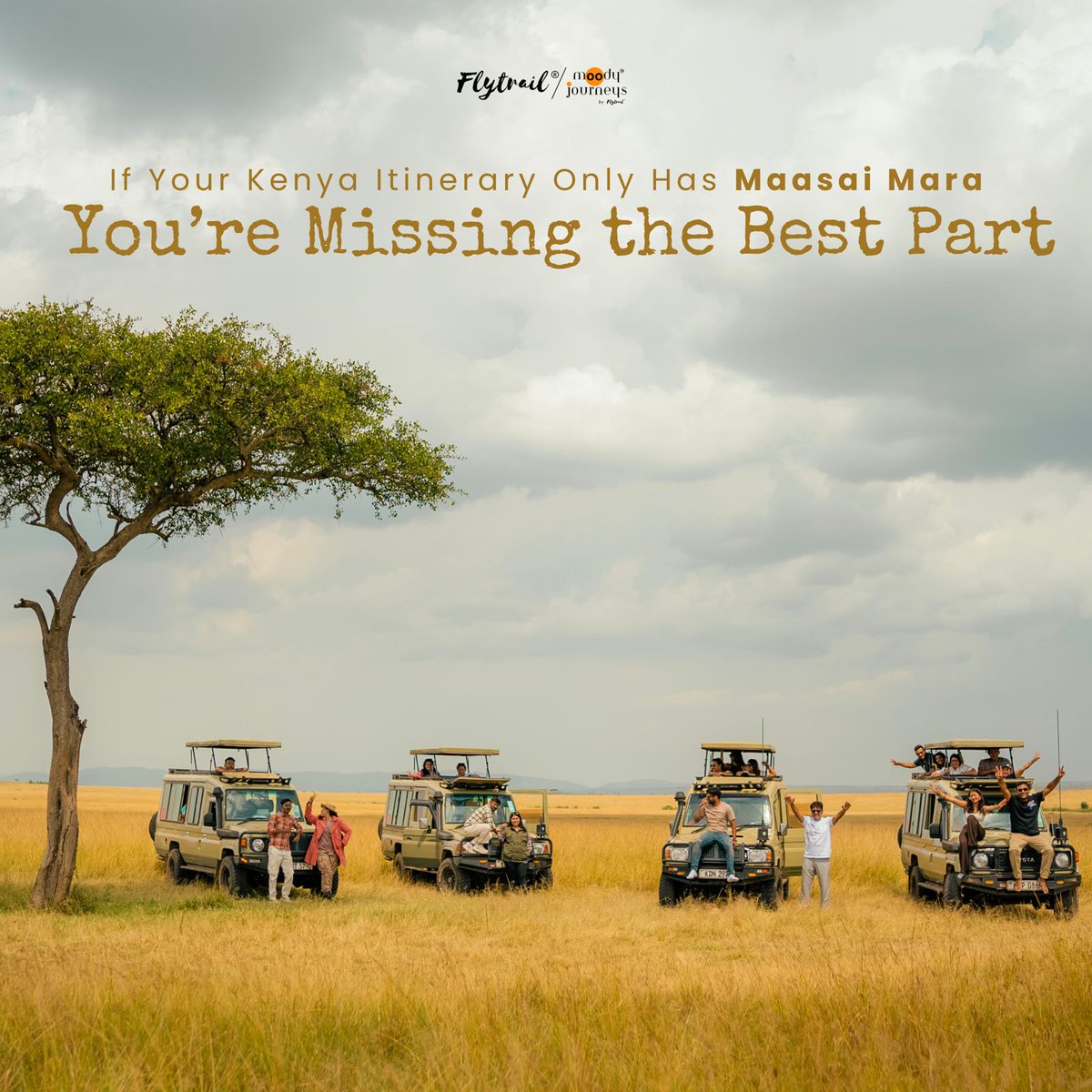 FlyTrail tweet media