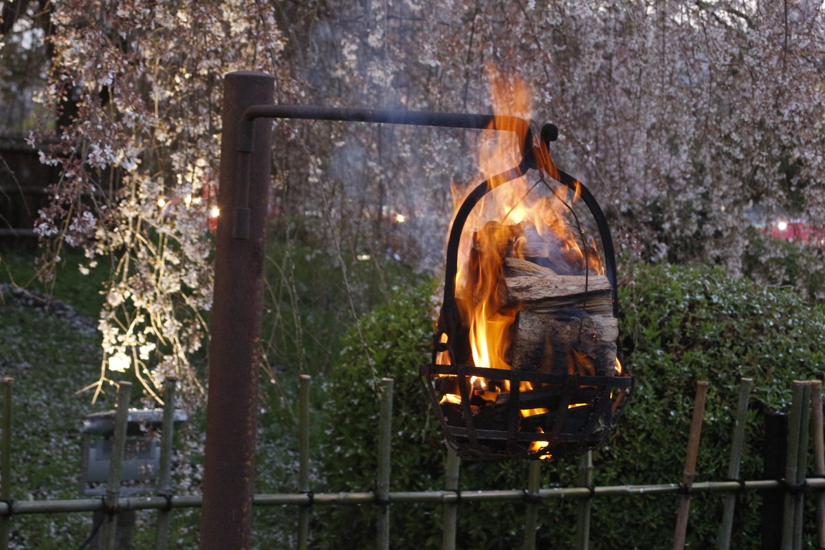 びくはて tweet media