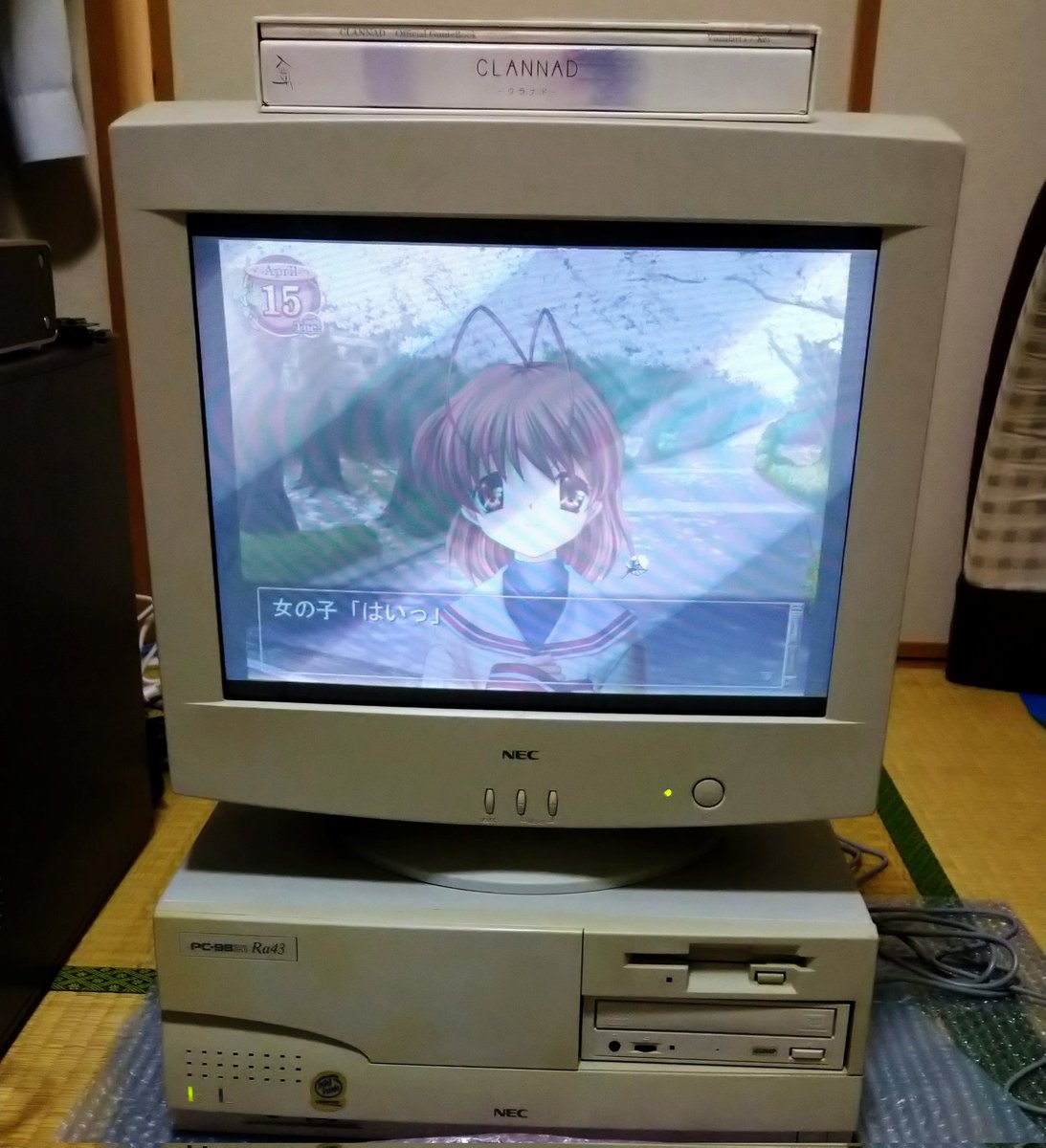 トップ・バニー tweet media