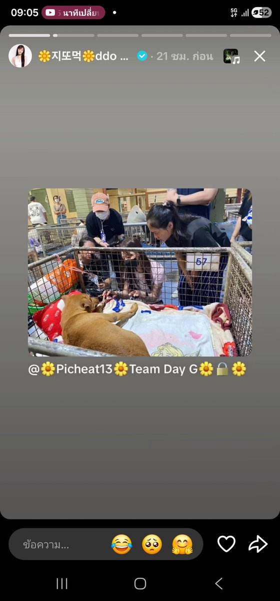 X-TREAM🌼 tweet media