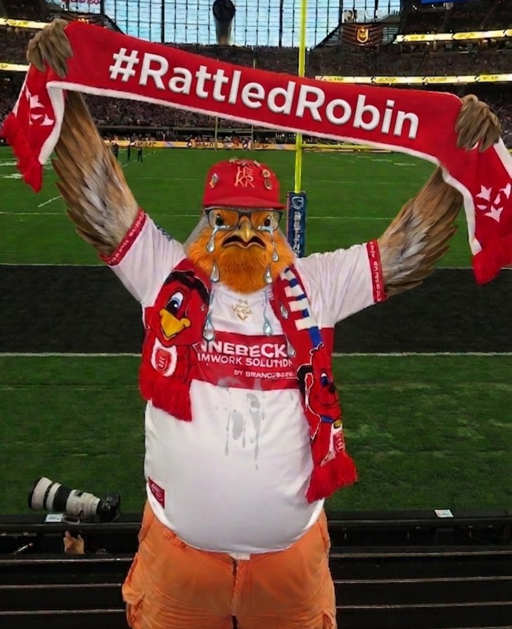 RattledRobin tweet media