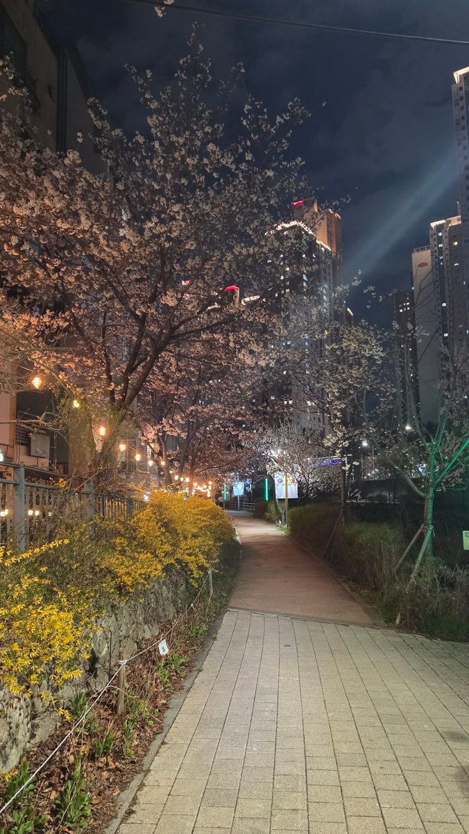 탱굴🟢 tweet media