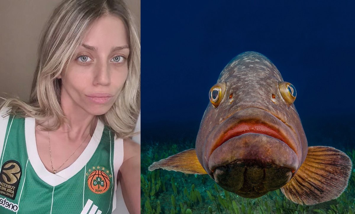 Jimmy Red 🖕🏻 tweet media