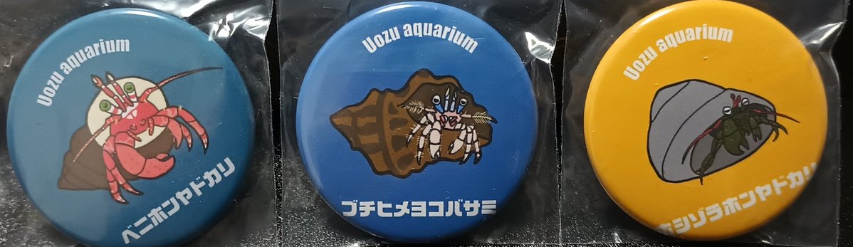 かみきり tweet media