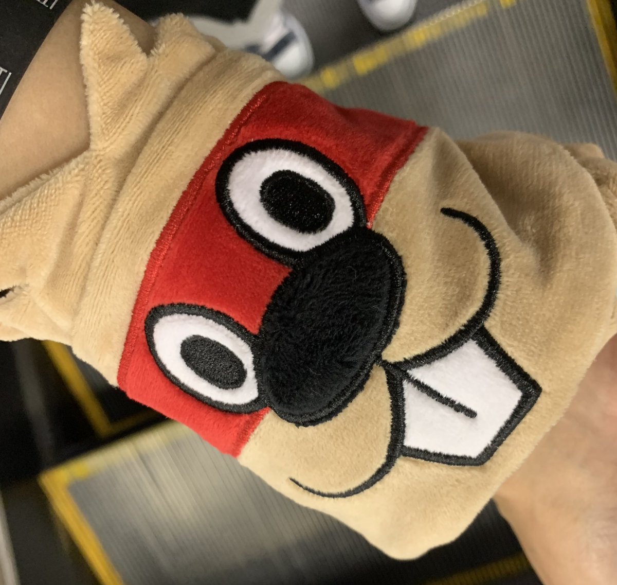 さすがにライブ後、1人になったらキャップ🧢にビーバー🦫のヘアバンド