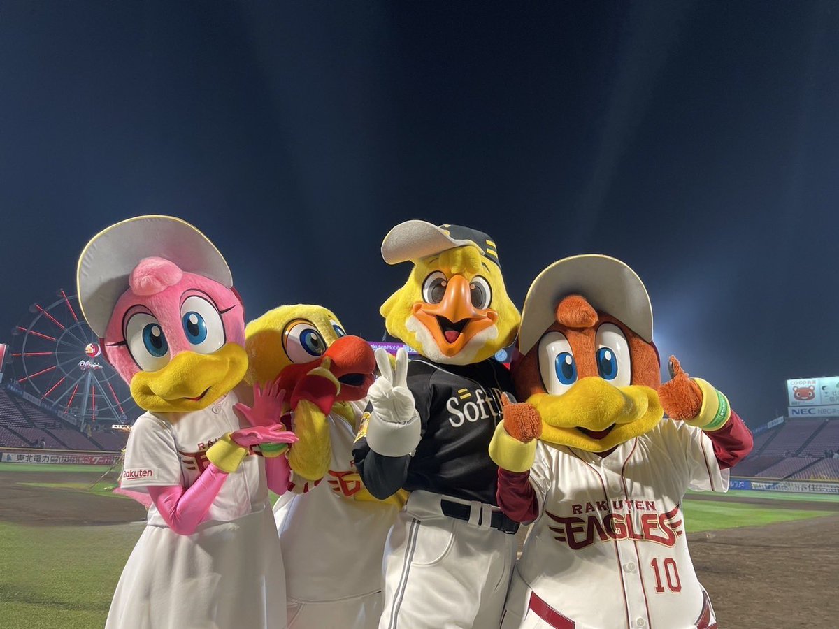 ハリーホーク(公式) tweet media