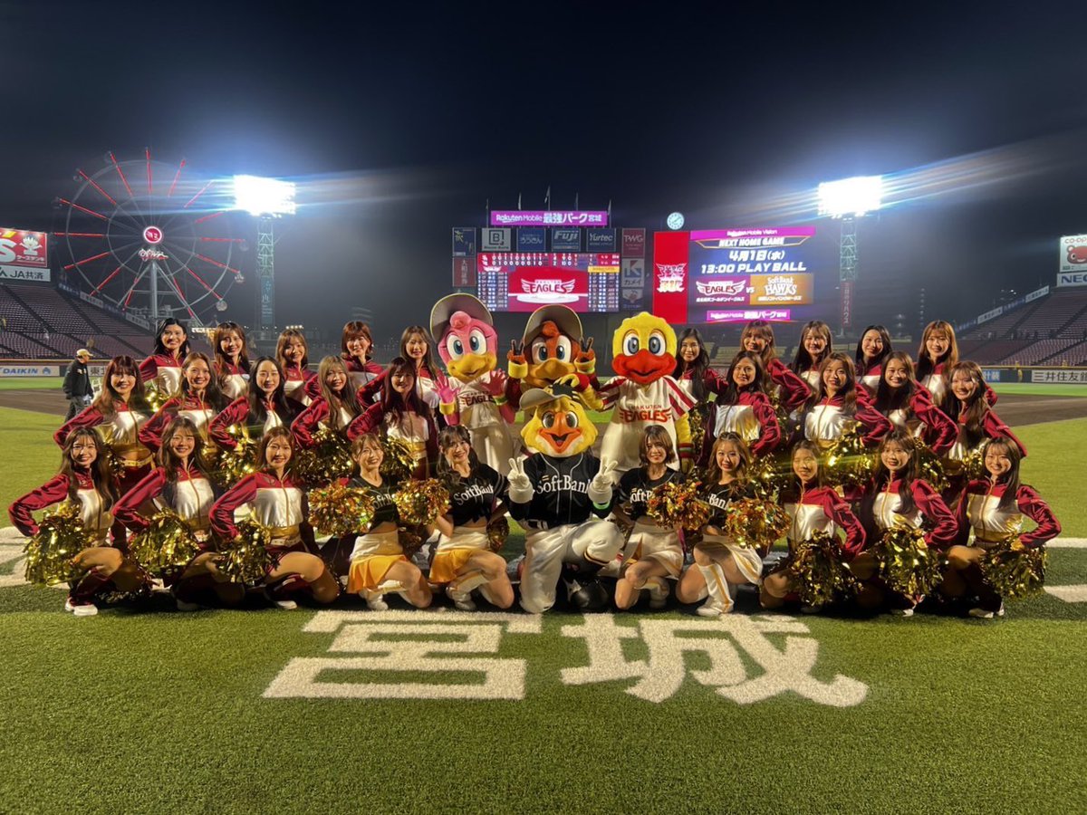 ハリーホーク(公式) tweet media